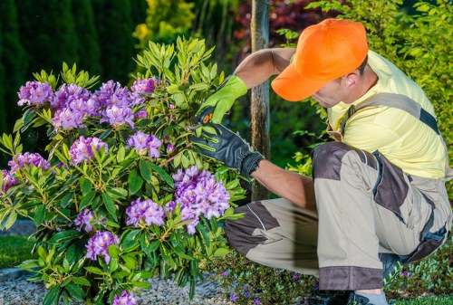 Gardener inspecting a residential garden
