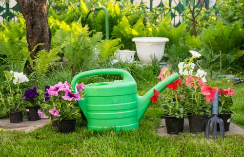 Sustainable garden practices including rainwater harvesting in Croydon