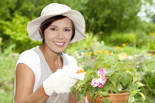 Choosing the right landscaping company in Croydon with experienced professionals