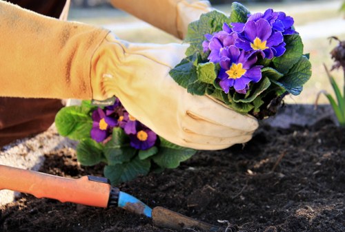 Garden design plan by Gardener Croydon