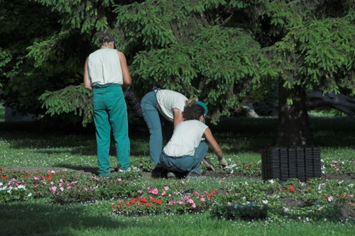 Tree removal process by experts