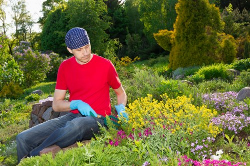 Professional landscapers planning a garden layout in Croydon