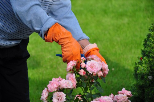 Insurance and compliance paperwork for gardening services