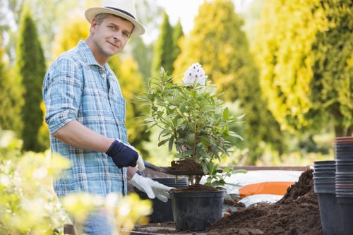 Soil preparation process for a healthy garden