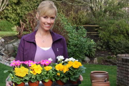 A lush Croydon garden showcasing increased property value and curb appeal