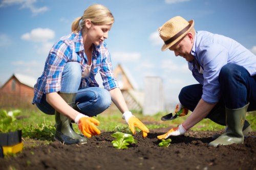 Seasonal lawn care in Croydon