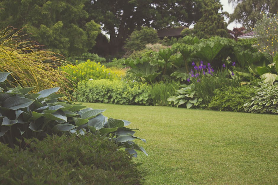 A detailed image of a garden adjacent to the Fairfield Halls area, showing well-maintained flower beds with a variety of lush, green foliage and colorful flowering plants. The grass lawn is neatly tri