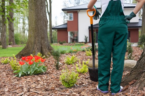 A gardener wearing dark green overalls and green gloves is standing in a backyard garden with their back facing the camera. The gardener holds a small shovel with an orange handle in their right hand, resting on the ground. The garden features a well-maintained, mulched flower bed with bright red tulips and small, leafy shrubs, bordered by soil and patches of grass. In the background, there is a large mature tree with a textured trunk, and further back, a modern two-storey house with a brick facade and large windows is visible. The outdoor space is lush with greenery, and the scene is illuminated by natural daylight, suggesting a clear weather day. The setting reflects a professional approach to garden maintenance, possibly part of ongoing lawn care or landscape enhancement by a local Croydon-based gardening service, such as Gardener Croydon, supporting landscaping and outdoor upkeep services across the area.